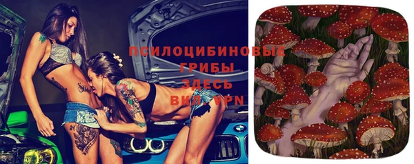 бошки Покровск